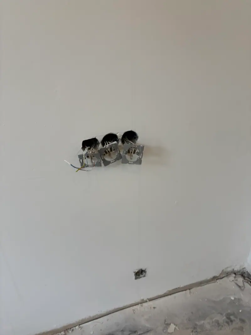 Steckdosen in einer frisch verputzten Wand